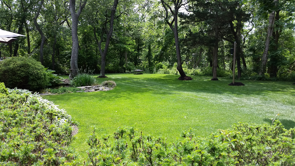 The Lynch Shack in Spring 2015  ~~  30 cu yards of mulch -----  NEVER AGAIN but it looks great