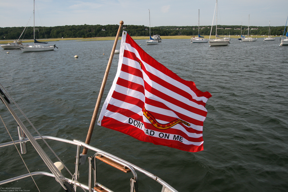 The First US Navy Jack,   - is supposed to fly on ALL Military vessels after 9/11  ~~  