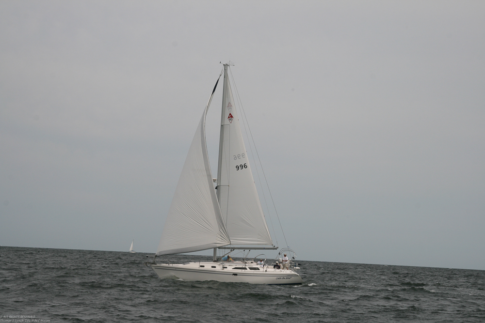 Catch the Wind  ~~  A Catalina 42, maybe my next boat: really like them!  Tri cabin would be perfect!