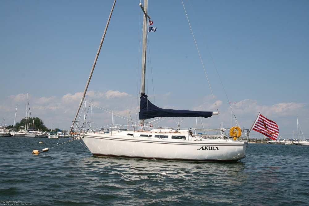 Akula looking good!    ~~  The First Navy Jack based on the Gadsden Flag flys proudly on her as it does on all military vessels since 9/11.