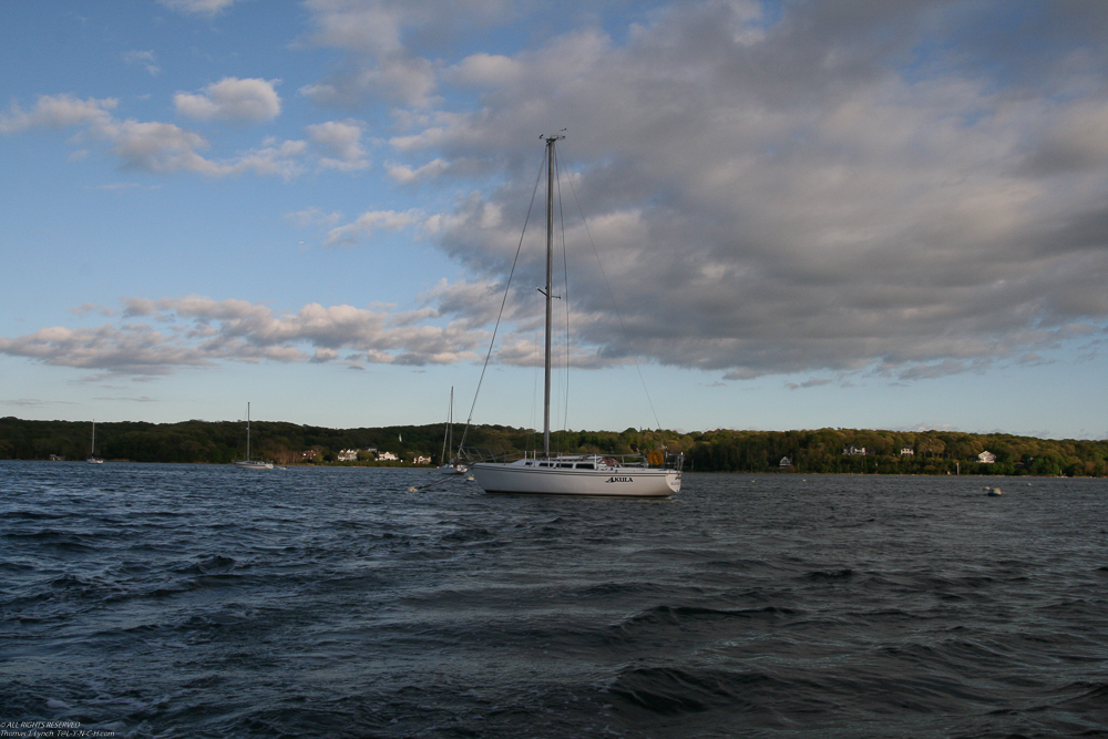 alone out on the mooring off 