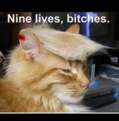 Trump has nine lives  ~~  