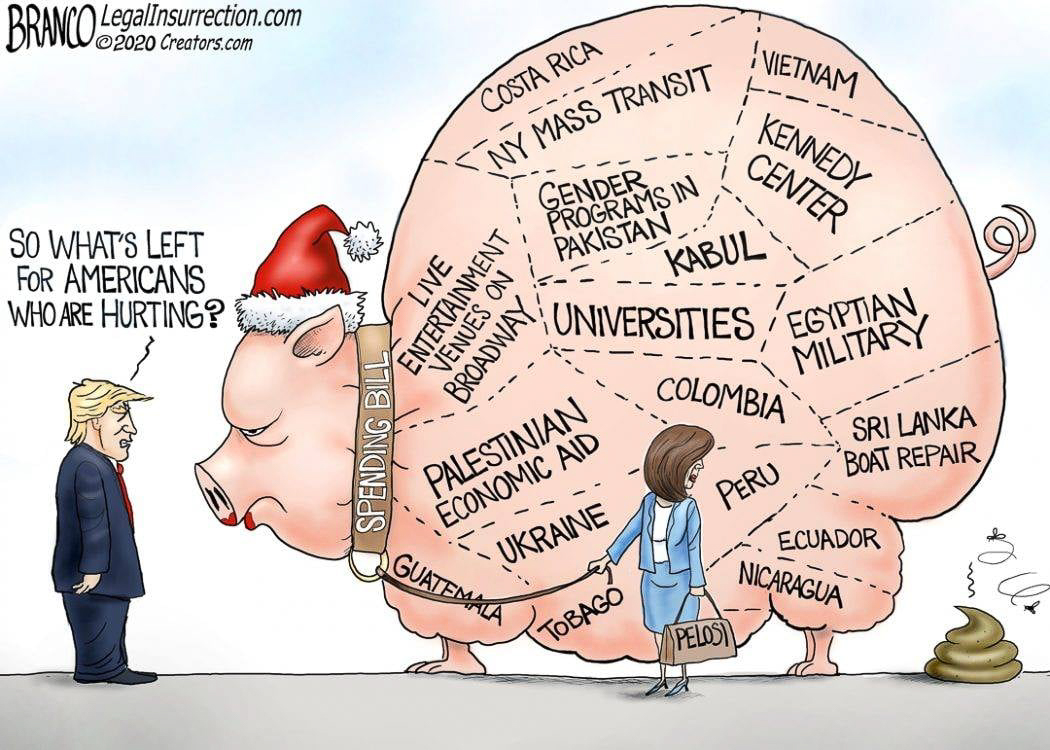 Pelosi Pork 2021.jpg  ~~  