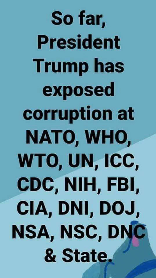 President Trump exposed govt corruption  ~~  