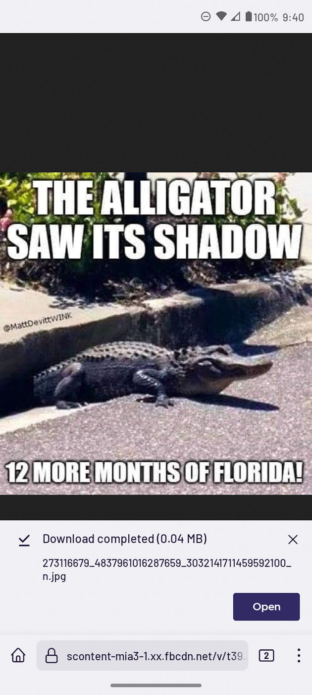 Alligator saw his shadow 12 more months of Florida  ~~  