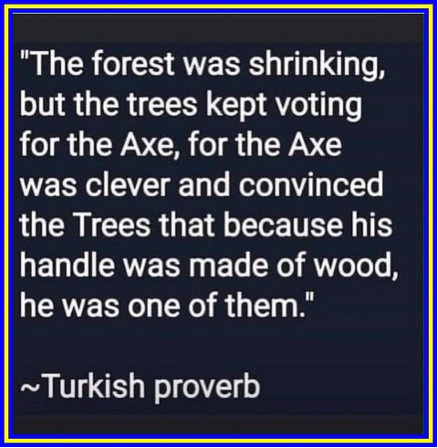 The Axe Turkish Proverb  ~~  