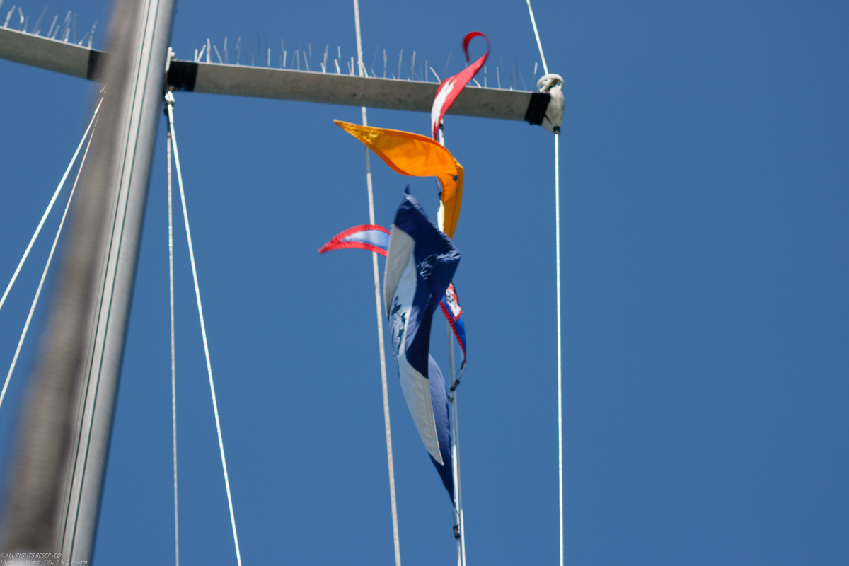   ~~  MSSA 2017 Branford CT Cruise with s/v Akula