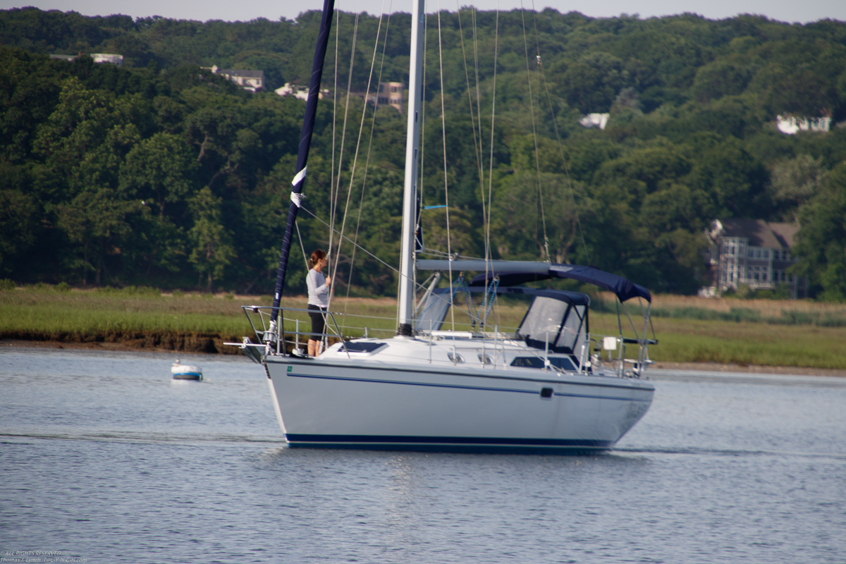 Branford 2019 June 8/9  ~~  MSSA 2019 Cruise #3 Branford CT, s/v Akula & Thomas Lynch, Cruise Captain