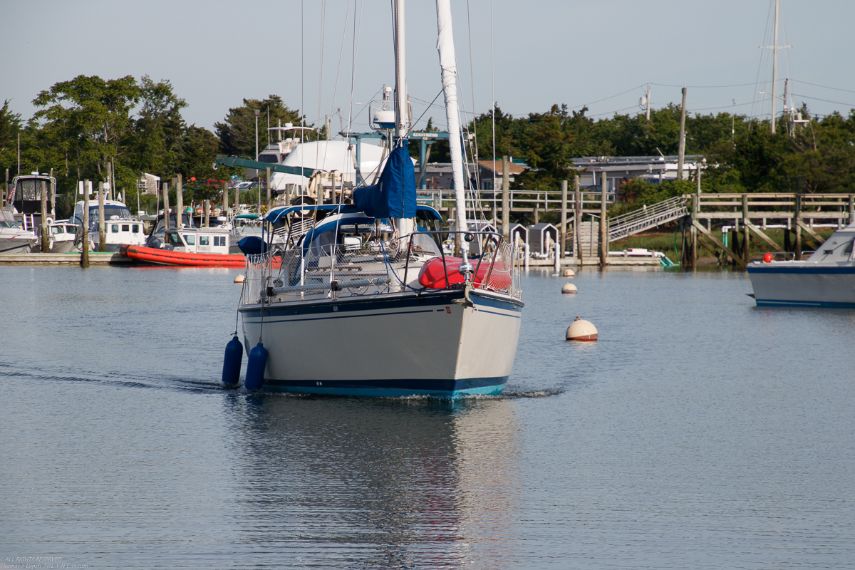 Branford 2019 June 8/9  ~~  MSSA 2019 Cruise #3 Branford CT, s/v Akula & Thomas Lynch, Cruise Captain