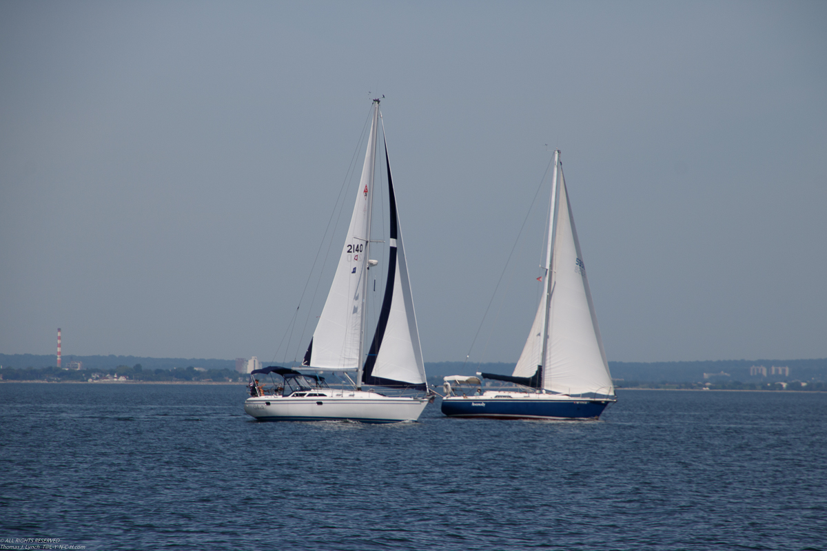 Branford 2019 June 8/9  ~~  MSSA 2019 Cruise #3 Branford CT, s/v Akula & Thomas Lynch, Cruise Captain