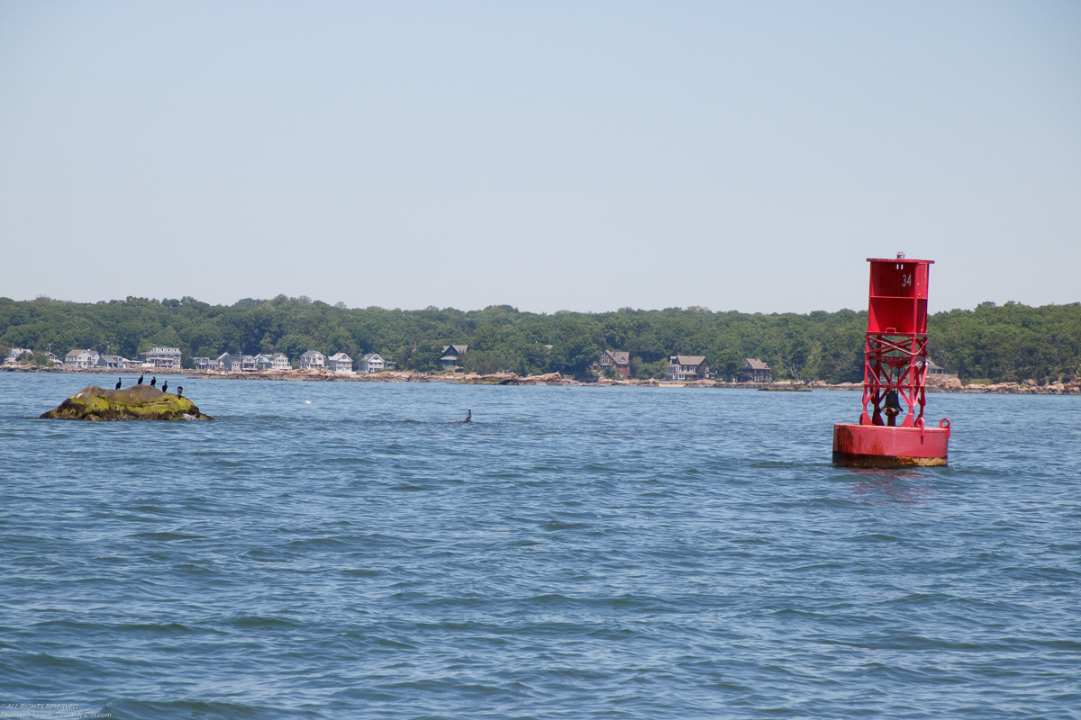 Branford 2019 June 8/9  ~~  MSSA 2019 Cruise #3 Branford CT, s/v Akula & Thomas Lynch, Cruise Captain