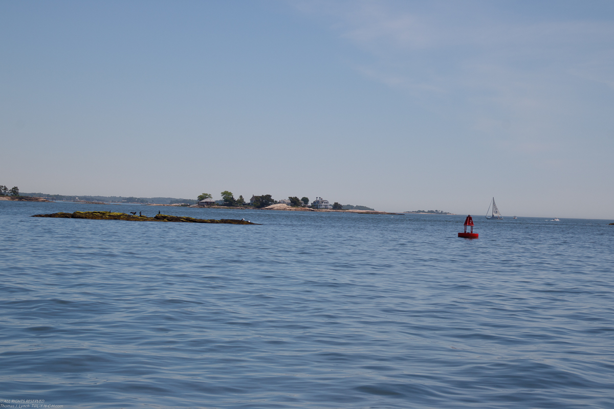 Branford 2019 June 8/9  ~~  MSSA 2019 Cruise #3 Branford CT, s/v Akula & Thomas Lynch, Cruise Captain