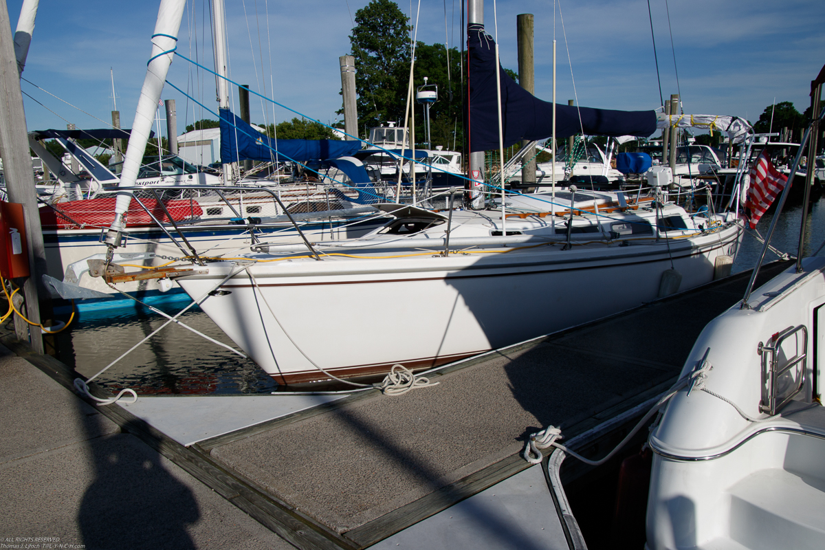 Branford 2019 June 8/9  ~~  MSSA 2019 Cruise #3 Branford CT, s/v Akula & Thomas Lynch, Cruise Captain