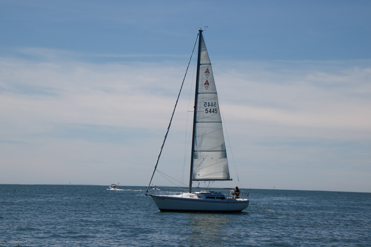 Branford 2019 June 8/9  ~~  MSSA 2019 Cruise #3 Branford CT, s/v Akula & Thomas Lynch, Cruise Captain