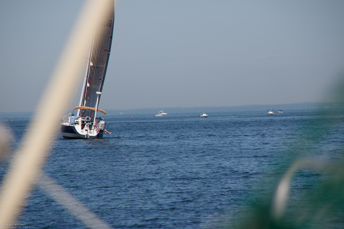   ~~  MSSA Long Distance Race 2019 - 27 NM and  15 plus kts sustained and gusts over 23 kts.