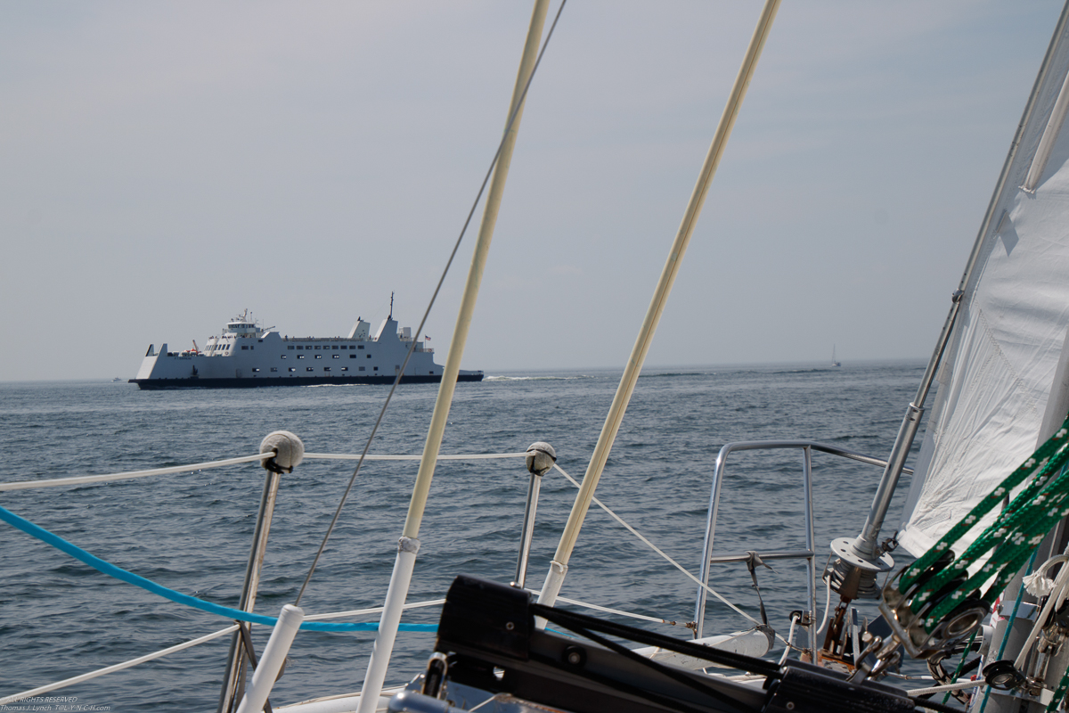 PJYC Harbor Cup Race 2019 - July 20 2019   ~~  96 F and 115 F with the heat index .... but we had some wind!