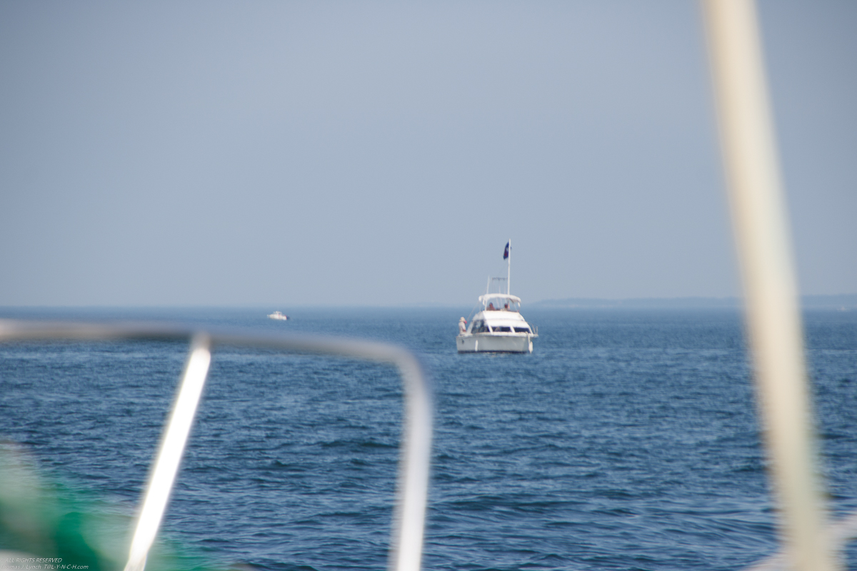 PJYC Harbor Cup Race 2019 - July 20 2019   ~~  96 F and 115 F with the heat index .... but we had some wind!