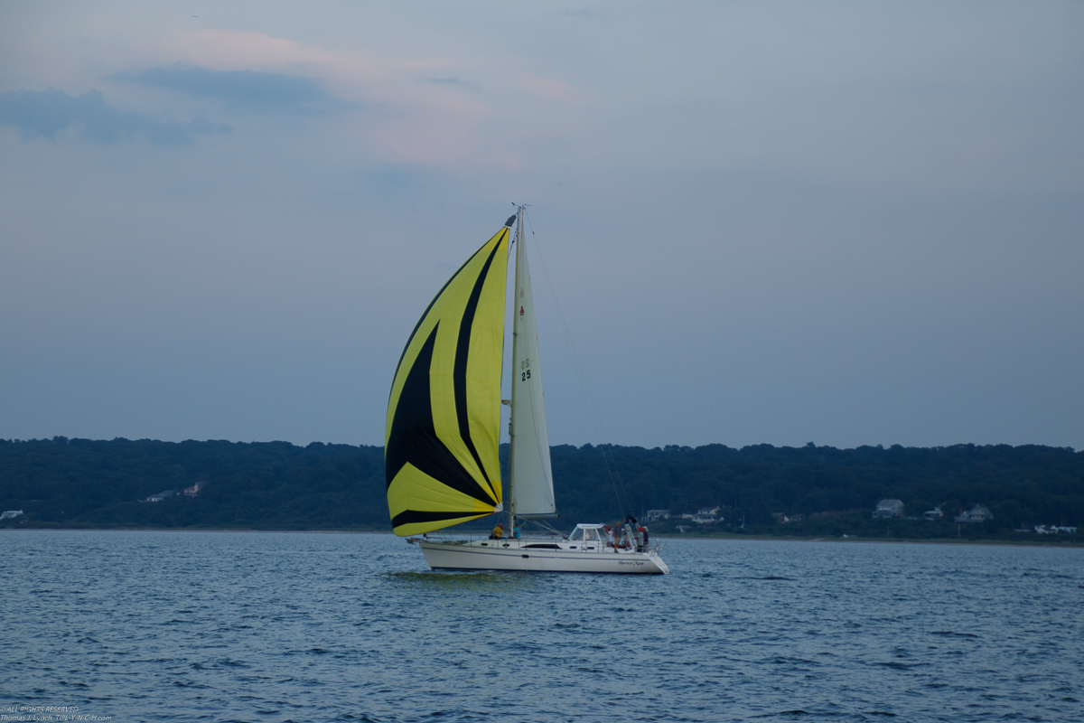 MSSA Summer Series Thursday Night  Race #5   ~~  