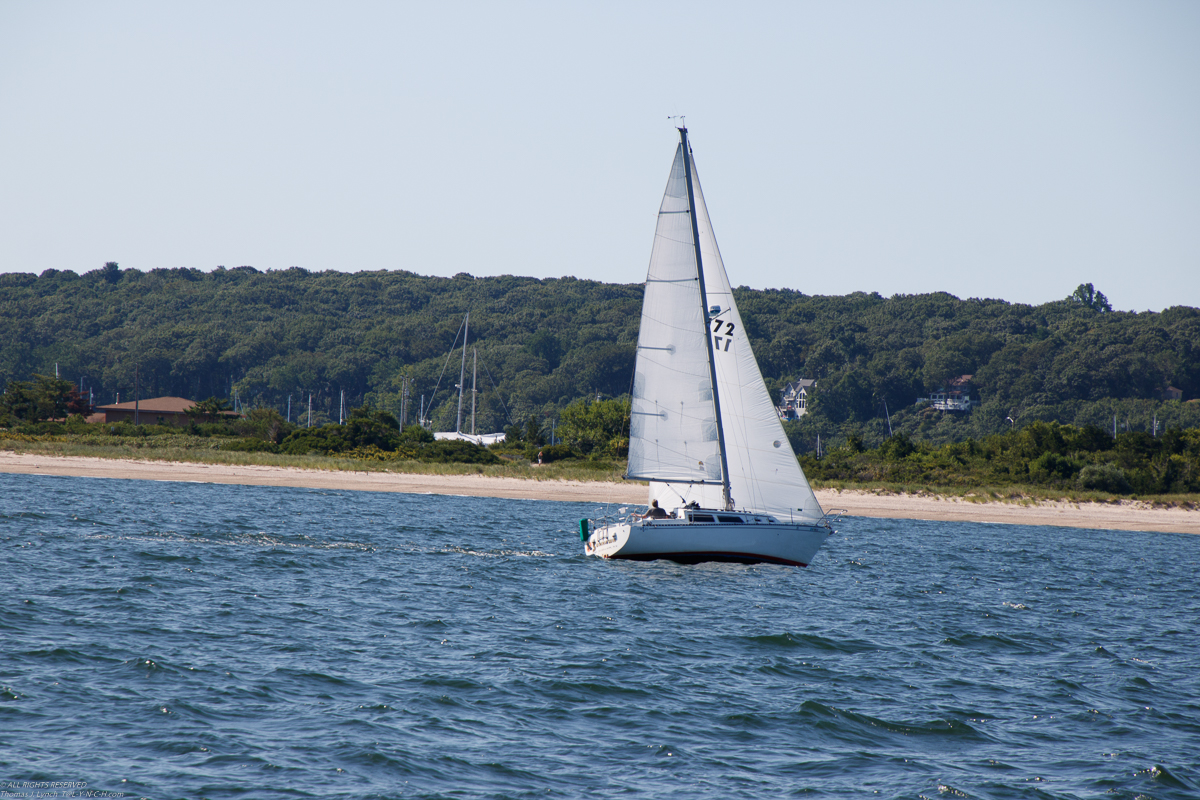 MSSA 2019 Single Handed Race  ~~  August 10 2019 Roadrunner was Race Official