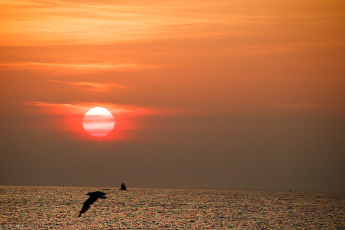 Mssa Sunset Cruise T Lynch 60th Mt Sinai  B-day Cedar Beach  ~~  