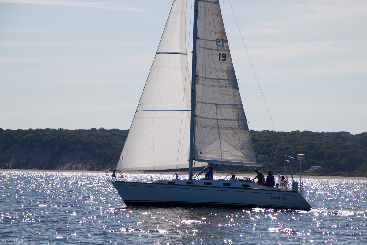 Mt Sinai Sailing Association 38th Annual American Cancer Society Regatta 2019  ~~  Not a blustery day.