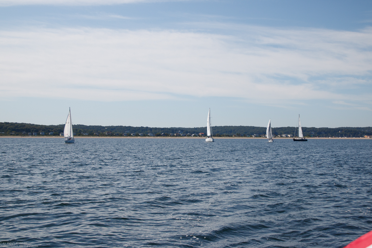 Mt Sinai Sailing Association 38th Annual American Cancer Society Regatta 2019  ~~  Not a blustery day.