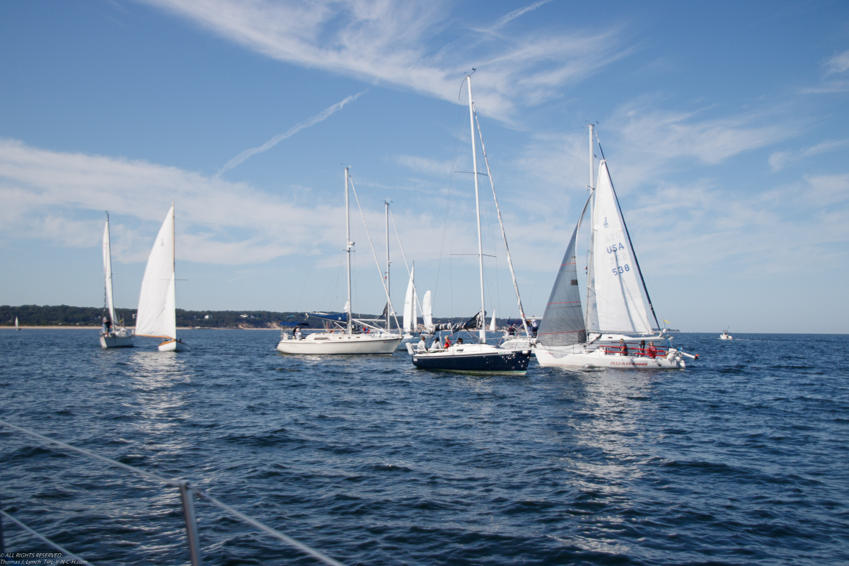 Mt Sinai Sailing Association 38th Annual American Cancer Society Regatta 2019  ~~  Not a blustery day.