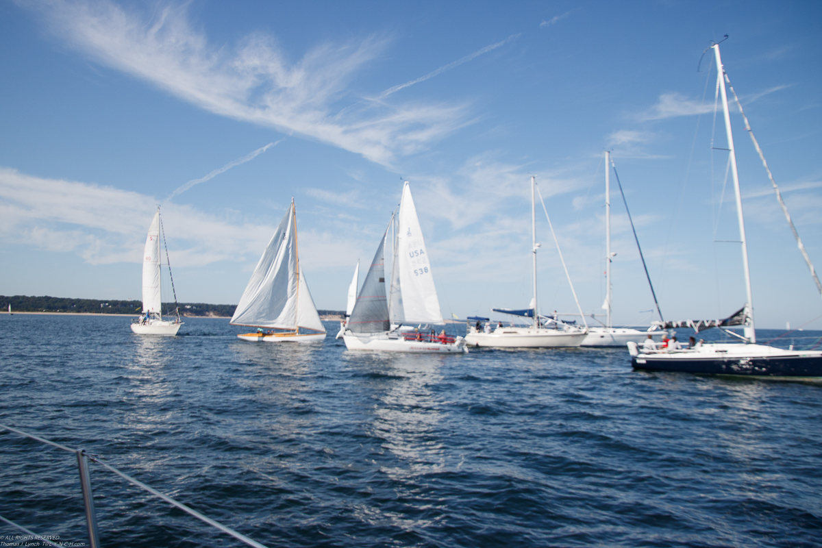 Mt Sinai Sailing Association 38th Annual American Cancer Society Regatta 2019  ~~  Not a blustery day.