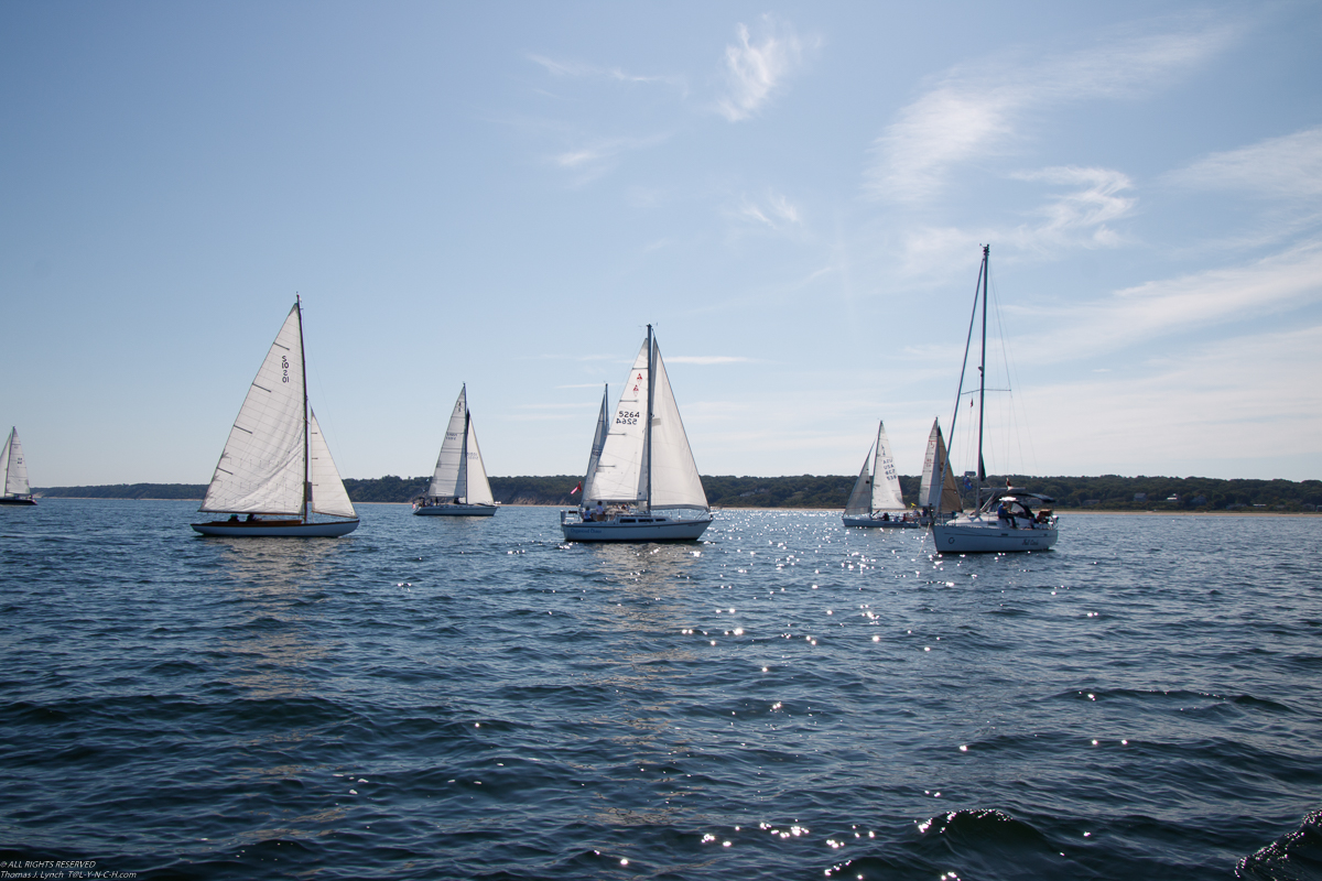 Mt Sinai Sailing Association 38th Annual American Cancer Society Regatta 2019  ~~  Not a blustery day.