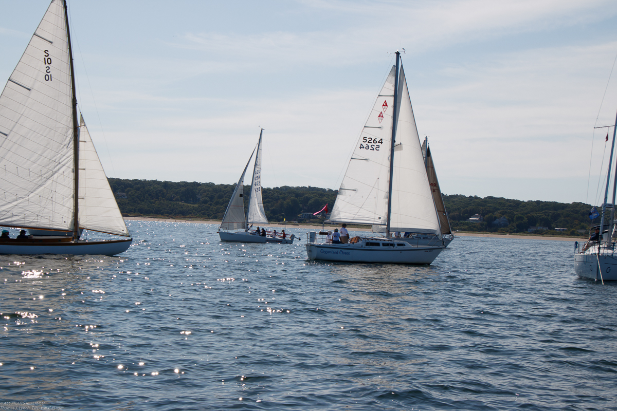 Mt Sinai Sailing Association 38th Annual American Cancer Society Regatta 2019  ~~  Not a blustery day.