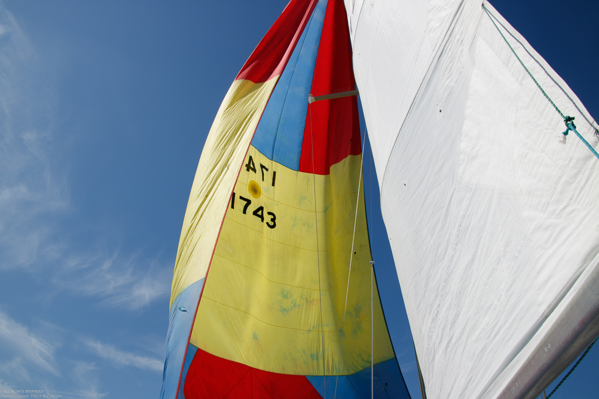 Mt Sinai Sailing Association 38th Annual American Cancer Society Regatta 2019  ~~  Not a blustery day.