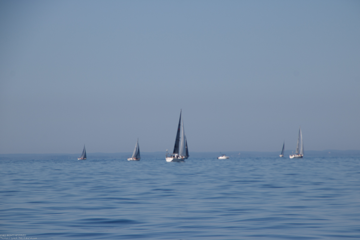 Mt Sinai Sailing Association 38th Annual American Cancer Society Regatta 2019  ~~  Not a blustery day.