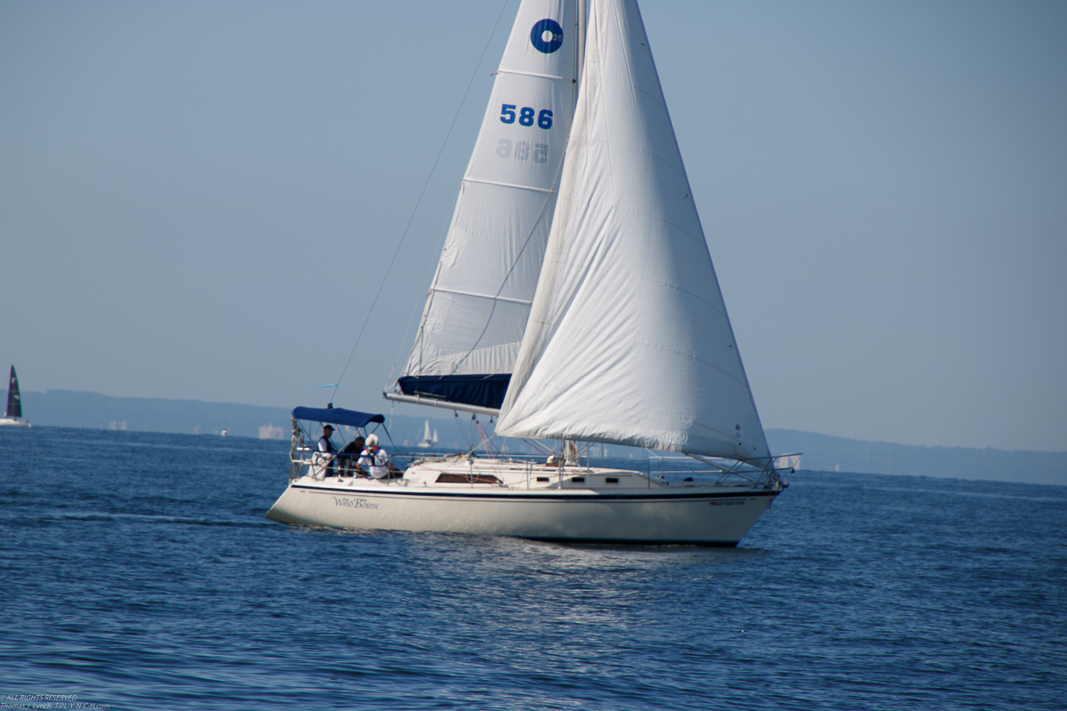 Mt Sinai Sailing Association 38th Annual American Cancer Society Regatta 2019  ~~  Not a blustery day.