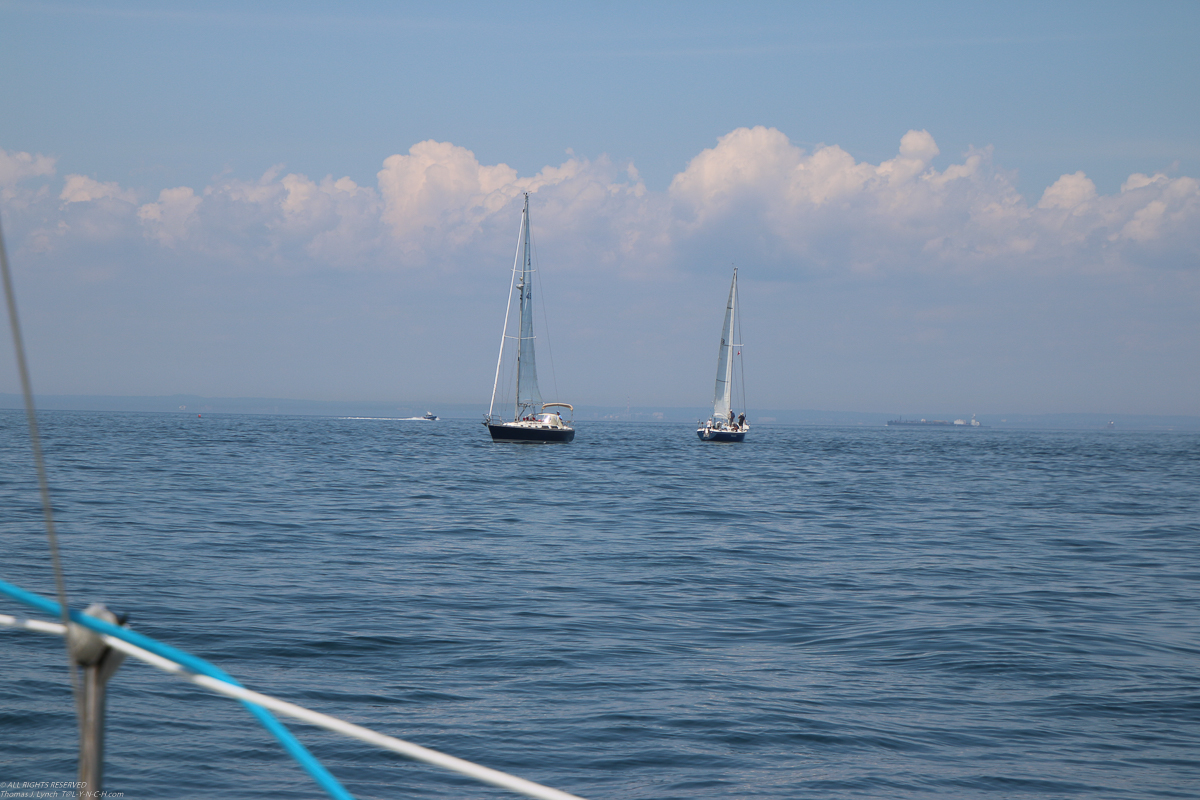 PJYC 2020 Harbor Cup - Abandoned no wind  ~~  Anomoly, Irish Mist, and others