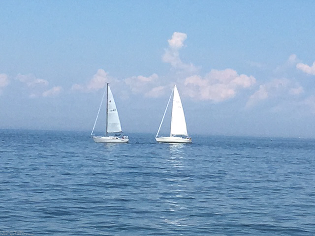 2016 Mt. Sinai Sailing Assoc American Cancer Society 35th Annual Regatta  ~~  Akula coming in after the race