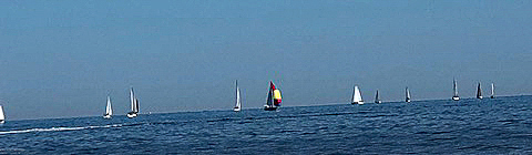 Mt Sinai Sailing Association 38th Annual American Cancer Society Regatta 2019  ~~  